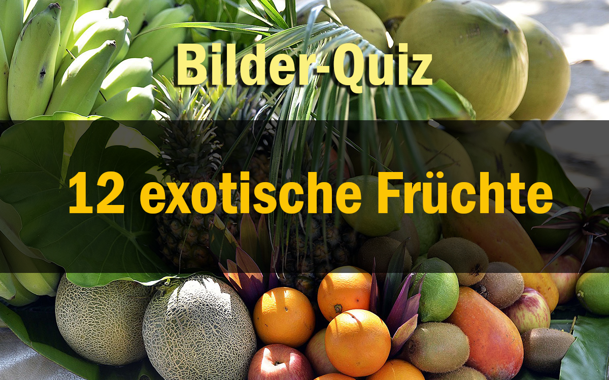 Bilder-Quiz - 12 Exotische Früchte